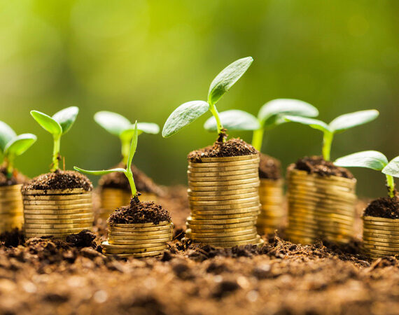 Residual Income
